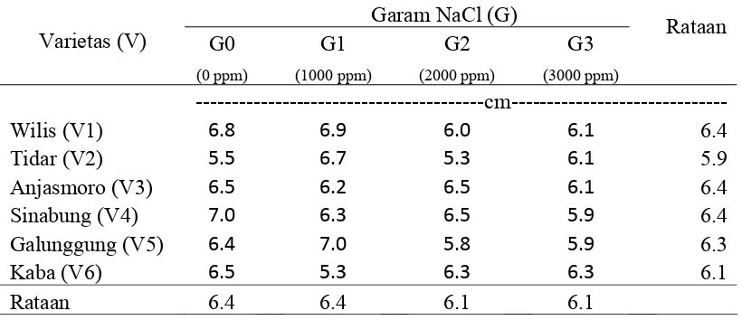 Tabel 1. Rataan Tinggi Planlet Pada Perlakuan Garam NaCl dan Varietas  