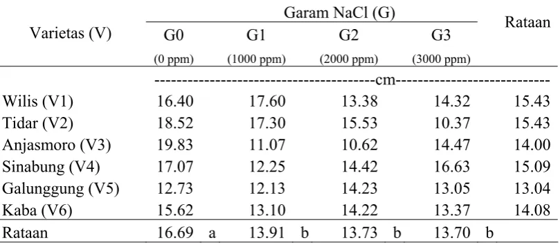 Tabel 2. Rataan Panjang Akar Pada Perlakuan Garam NaCl dan Varietas  