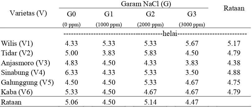 Tabel 3. Rataan Jumlah Cabang Akar Pada Perlakuan Garam NaCl dan Varietas  