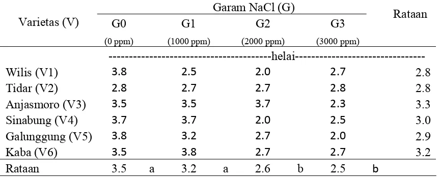 Tabel 6. Rataan Jumlah Daun Pada Perlakuan Garam NaCl dan Varietas  