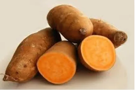 Gambar 2.1 Ubi Jalar (Ipomoea batatas L) Orange  