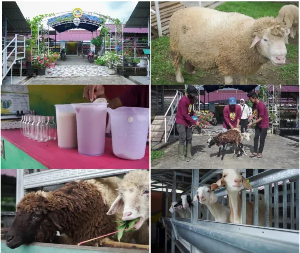Gambar 3. Sequence Screenshot sample hasil video 