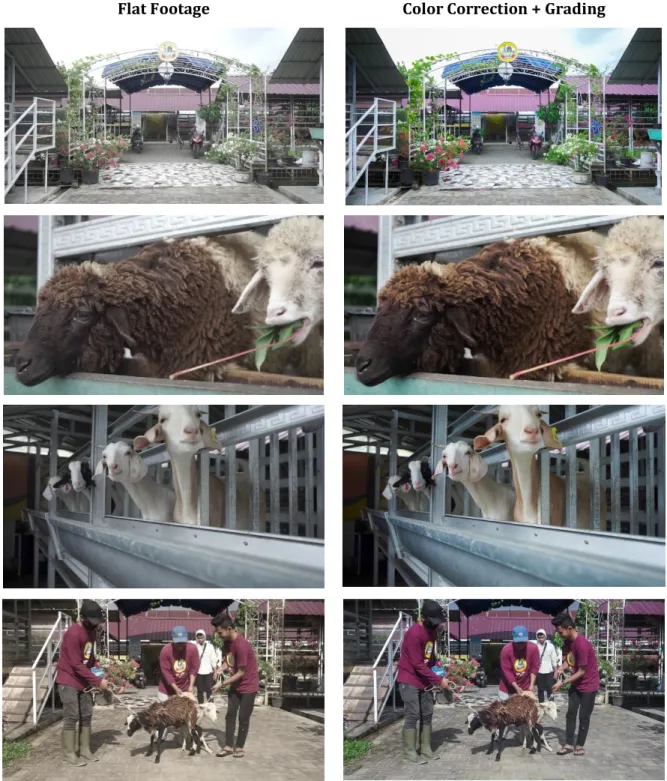 Gambar 4. Sequence Screenshot sample grading video 