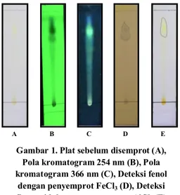 Gambar 2. Pola kromatogram 254 nm (A),  Pola kromatogram 366 nm (B), Deteksi  alkaloid dengan penyemprot dragendorf (C),  Deteksi terpenoid setelah disemprot pereaski  Lieberman Burchard dan dipanaskan (D)