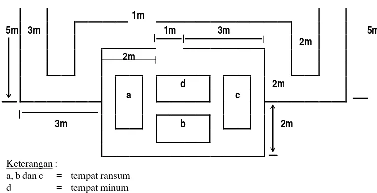 Gambar  2. Bentuk kandang perangkap tipe labirin 