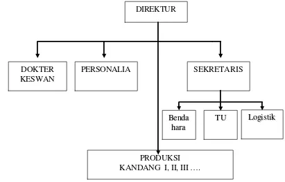 Gambar  15. Struktur Organisasi CV. WANARA SATWA LOKA 