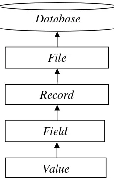 Gambar 2.2 Hierarki/Tingkatan Data dalam Sebuah Struktur Database 