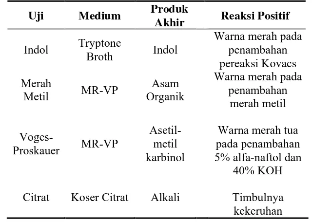 Tabel 9. Identifikasi E.coli 