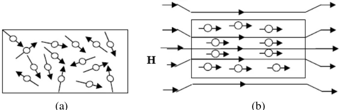 Gambar 2.1 Arah partikel pada magnet isotropi dan anisotropi. (a) Arah partikel 