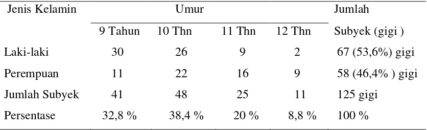 Tabel 4.2  Proporsi kaninus maksila berdasarkan analisis foto panoramik  