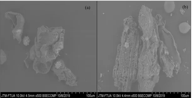 Gambar 10. Hasil analisis morfologi permukaan biosorben kulit batang sagu sebelum (a) dan sesudah kontak dengan airlimbah CPO (b) menggunakan SEM