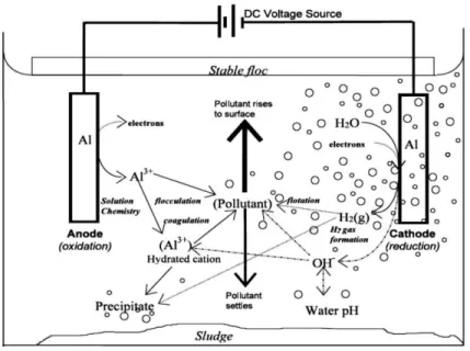 Gambar  2.1  memperlihatkan  proses  elektrokoagulasi  yang  sangat  kompleks.  Dimana  koagulan  dan  produk  hidrolisis  saling  berinteraksi dengan polutan atau dengan ion yang lain atau dengan gas  hidrogen