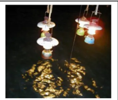 Gambar  2.  Lampu  petromaks  yang  masih  digunakan  oleh  nelayan  sebagai  atraktor  pada  alat  tangkap 