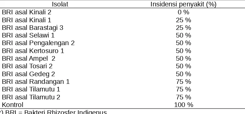 Tabel 4.   Insidensi penyakit layu stewart pada bibit jagung setelah                 aplikasi Bakteri Rhizosfer Indigenus (BRI)                 