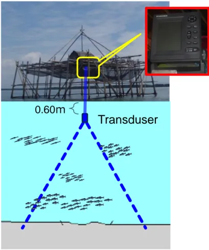 Gambar 1. Layout metode pengamatan hidroakustik sistem vertikal Transduser