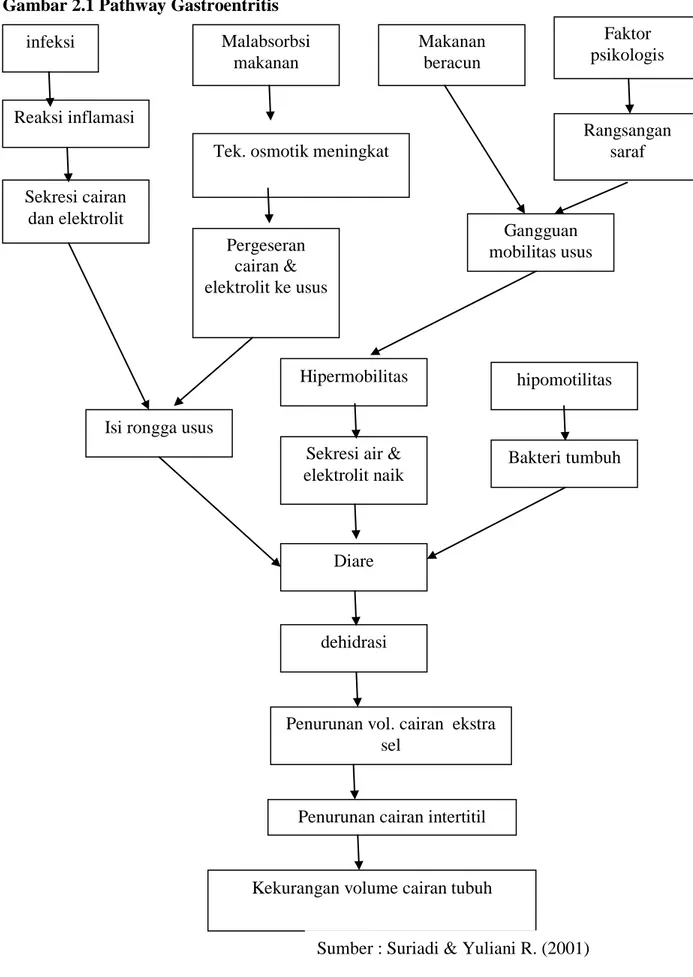 Gambar 2.1 Pathway Gastroentritis  infeksi  Reaksi inflamasi  Sekresi cairan  dan elektrolit  Malabsorbsi makanan 