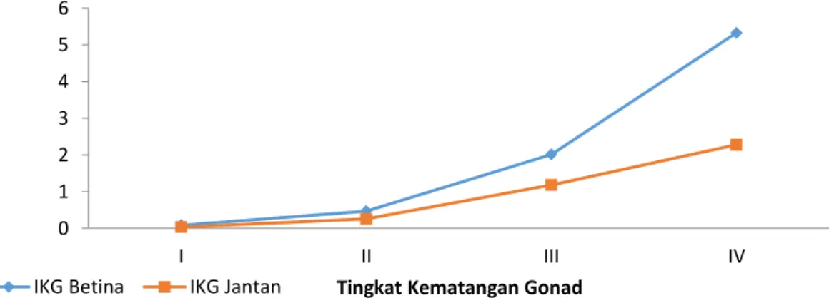 Gambar  8.  Nilai  indeks  kematangan  gonad  berdasarkan  tingkat  kematangan gonad ikan ekor kuning (Caesio cuning) 