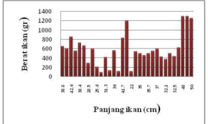 Gambar 2. Grafik panjang dan berat tubuh ikan Kakap  Putih (Lates calcarifer Block). 