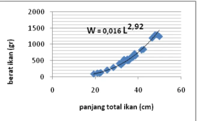 Tabel 1. Jumlah ikan Kakap putih (L. calcarifer Block)   pada tiap tingkat   kematangan gonad yang diperoleh  se-lama penelitian beserta kisaran berat tubuh dan panjang 
