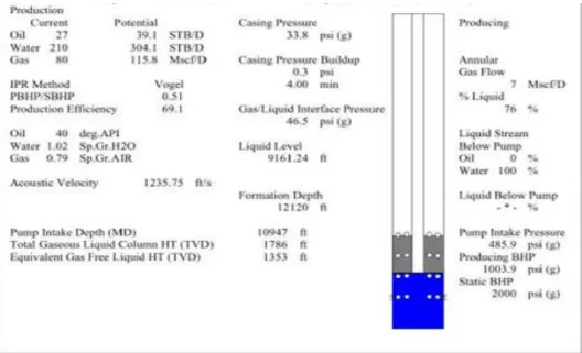 Gambar 7 Data lengkap dari well analyzer TWM 