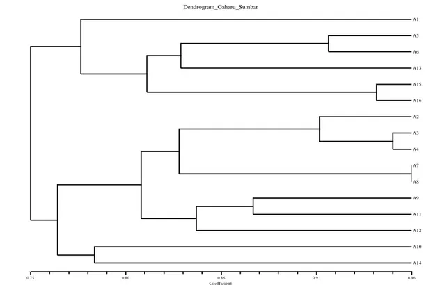 Gambar 6. Dendogram dari Analisis Kluster UPGMA Menggunakan Koefisen Dice pada RAPD  Gabungan Tiga Primer dengan 16 Genetik Tanaman Gaharu Sumbar