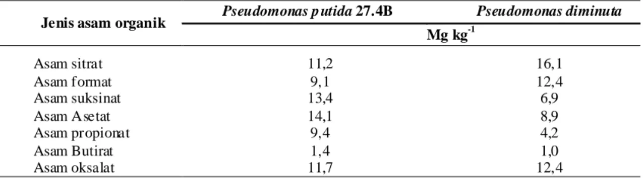Tabel 1. Hasil analisis asam-asam organik dalam medium