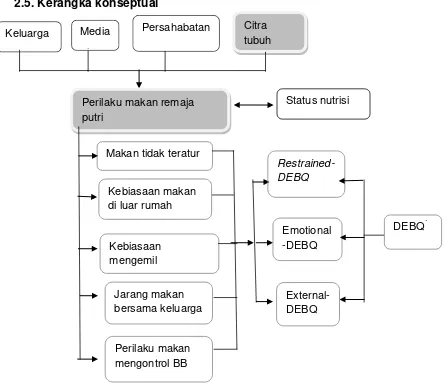 Gambar 2. Kerangka konseptual 