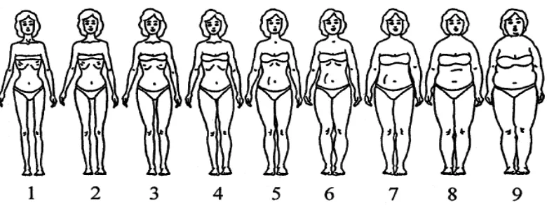 Gambar 1. Contour Drawing Rating Scale.8 