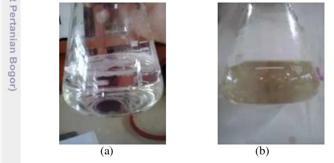Gambar 1  Perubahan warna sebelum (a) dan sesudah (b) proses sulfonasi 