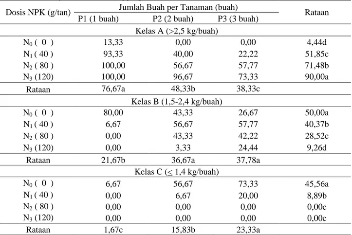 Tabel  6. Persentase Mutu Buah Kelas A,B, dan  C Tanaman Semangka pada Masing-Masing  Dosis  NPK dan jumlah buah ditinggal per tanaman 