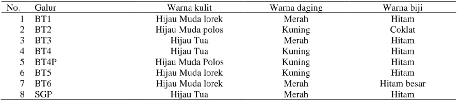 Tabel 1. Karakter tetua semangka Balitbu Tropika sebagai materi persilangan 