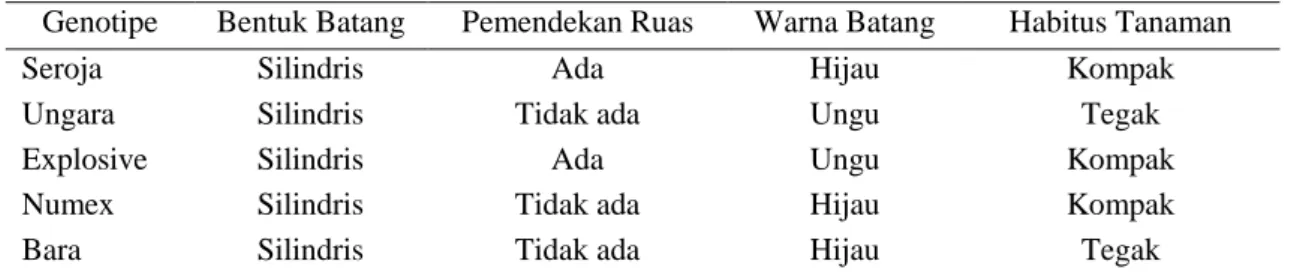 Tabel 3. Bentuk batang, warna batang, dan habitus tanaman 