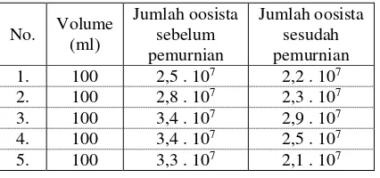 Tabel 1. Jumlah oosista Eimeria tenella yang sudah bersporulasi sebelum dan sesudah dilakukan pemurnian dan sterilisasi dengan Sodium hypochlorite 13%