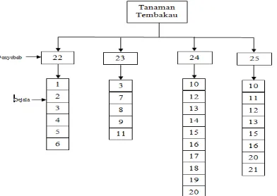Gambar 2. Penyusunan Diagram Tree Penentuan hama dan Penyakit pada Tembakau Tabel 2.  Penomoran diagram tree