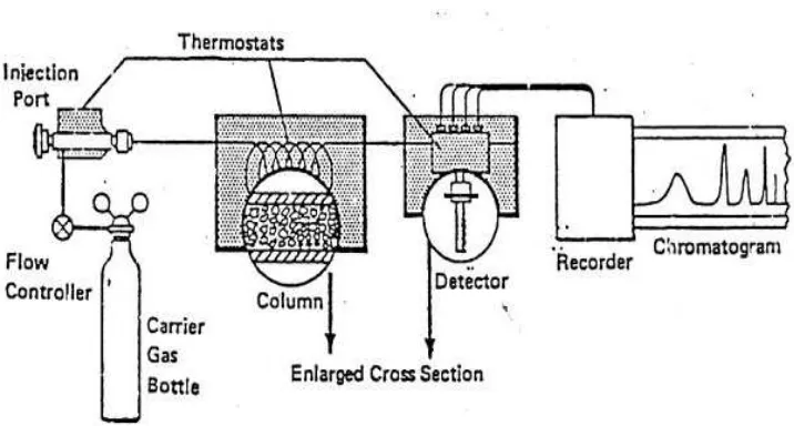 Gambar 2.3 Skema sistem kromatografi gas 