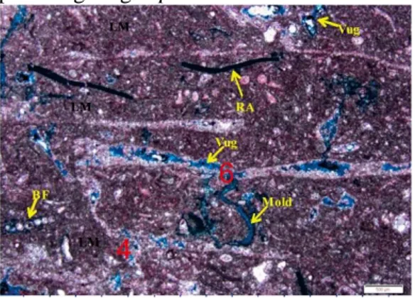 Gambar 2 Sayatan plate 29 sumur RI-1  menunjukkan  beberapa  diagenesis  yang  berlangsung  seperti  porositas  interkristalin, vuggy, dan mouldic