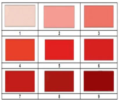 Gambar 1. Standar warna daging sapi berdasarkan SNI 3932: 2008 