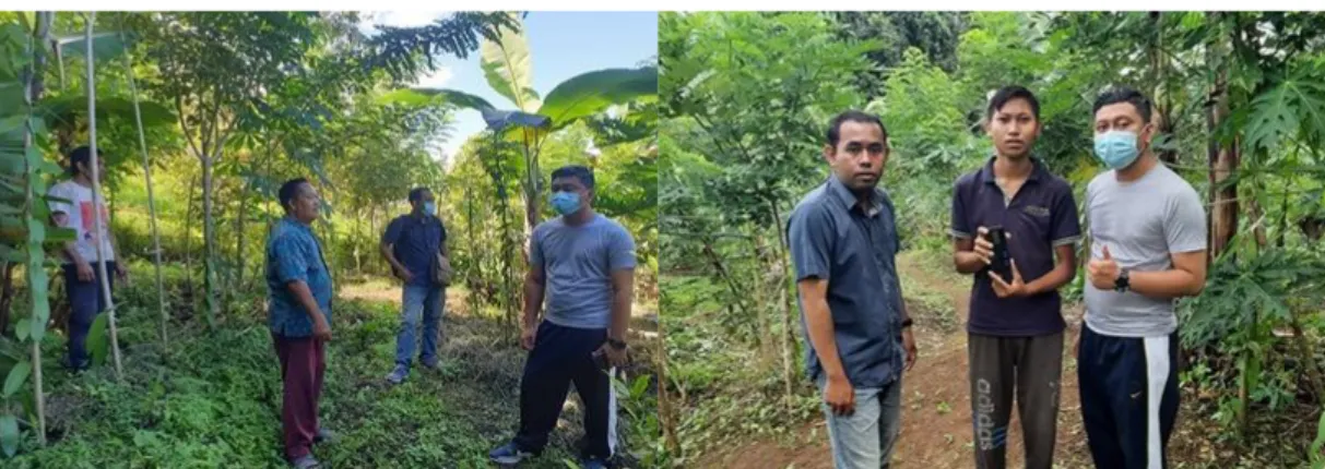 Gambar 2. Kunjungan pada Kebun Vanili Mitra dan Pelatihan Pengambilan  Gambar untuk Media Sosial 