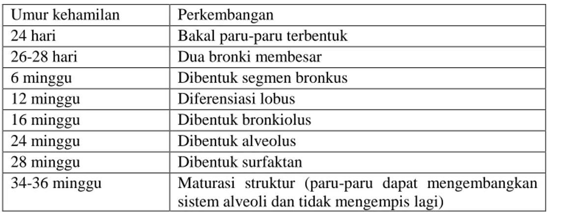 Tabel 2.7 Perkembangan Sistem Pulmoner  Umur kehamilan  Perkembangan 