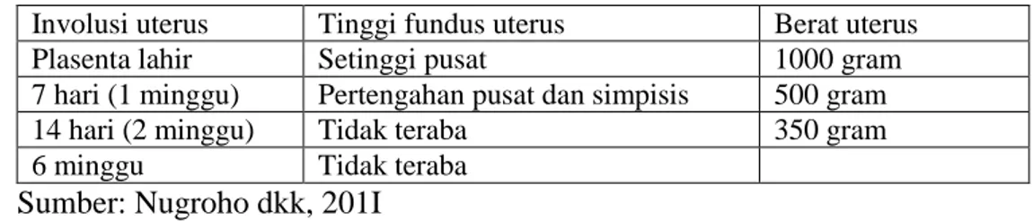 Tabel 2.12 Perubahan normal pada uterus selama masa nifas  Involusi uterus  Tinggi fundus uterus  Berat uterus 
