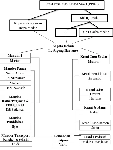 Gambar 4.1 Struktur Organisasi Pusat Penelitian Kelapa Sawit (PPKS) Bukit Sentang 