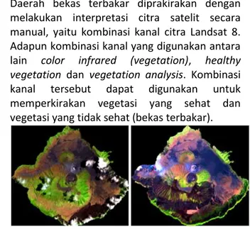 Gambar 4. Kombinasi Vegetation Analysis Citra  Sebelum (a) dan Sesudah Kebakaran (b) 