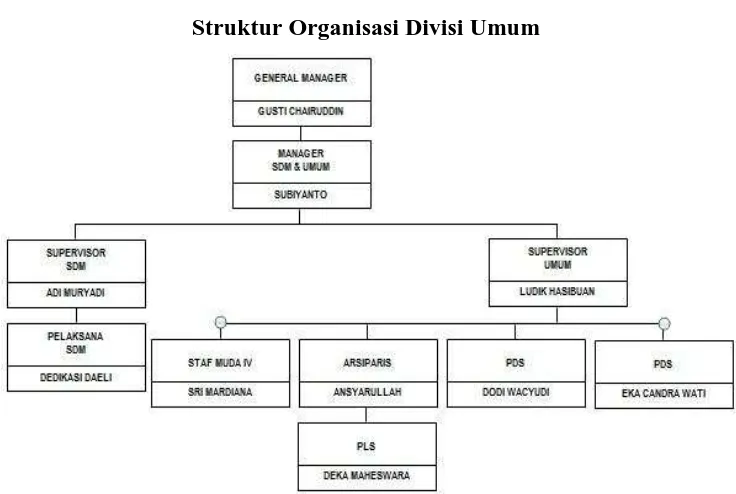 Gambar 3.1. Struktur Organisasi Divisi Umum 