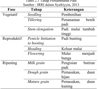Tabel 2.1 Tahap Pertumbuhan Padi  Sumber : IRRI dalam Syafriyyin, 2013 