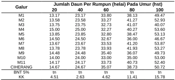 Tabel 3 Rata-Rata Jumlah Daun per Rumpun pada Uji  11 Galur Padi Hibrida   Galur  Jumlah Daun Per Rumpun (helai) Pada Umur (hst) 