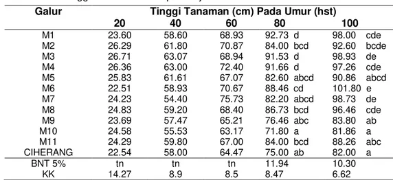 Tabel 1 Rata-rata Tinggi Tanaman Padi  pada Uji Hasil 11 Galur Padi Hibrida   Galur  Tinggi Tanaman (cm) Pada Umur (hst) 