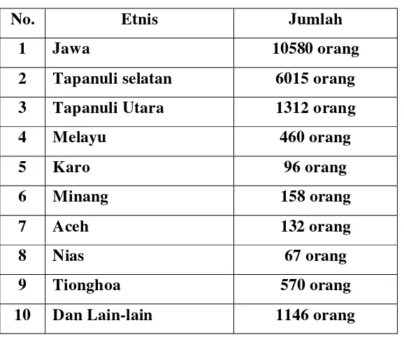 Tabel 3 Jumlah Penduduk Berdasarkan Etnis 