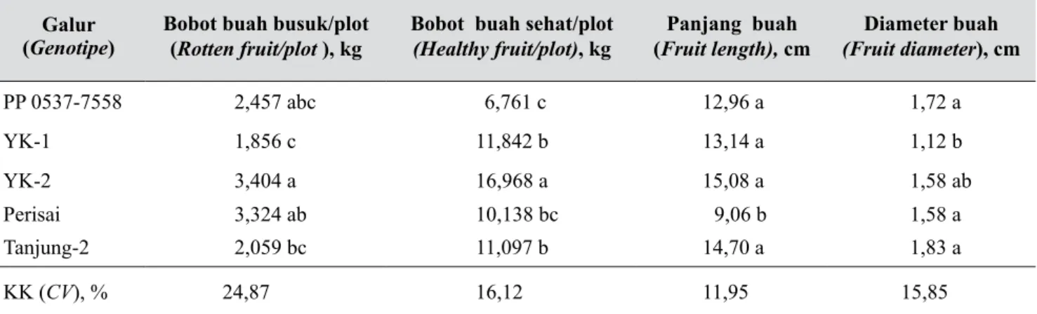 Tabel  6.  Bobot buah busuk/plot, bobot buah sehat/plot, panjang buah, dan diameter buah di Lembang  (Rotten fruit/plot, healthy fruit/plot,  fruit length, fruit diameter)