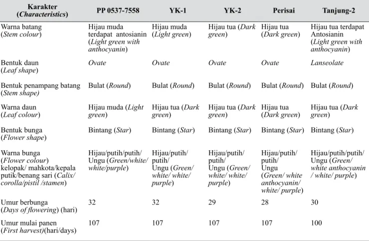 Tabel 7. Karakteristik morfologi galur-galur cabai (Morphology characteristic of genotypes hot pepper) Karakter 