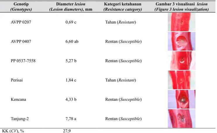 Tabel 1.   Diameter lesion hasil inokulasi pada beberapa genotip buah cabai (Lesion diameter from pepper 
